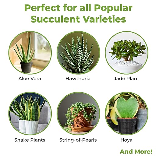 Succulent and Cactus Fertilizer in 5oz. Bag | Long Lasting Gentle Plant Food Formula for All Live Succulents, Cacti, and Other Desert Houseplants (Pack of 2)