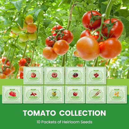 10 Pack Heirloom Tomato Seeds Variety Pack -5000+ Non-GMO Garden Seeds for Planting Outdoors & Indoor Home Gardening Gift, Cherry, Yellow Pear Tomatoes & More