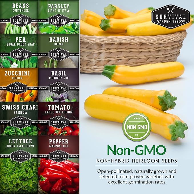 Easy to Grow Vegetable & Herb Seed Collection - 10 Packs of Non-GMO Heirloom Open-Pollinated Veg & Herb Essentials for Gardening Beginners - Seed Saver Instructions on Packets - Survival Garden Seeds