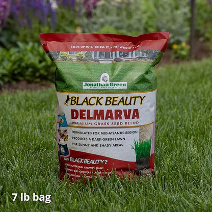 Jonathan Green (10391) Black Beauty Delmarva Grass Seed (Made for Maryland, Delaware, Virginia) - Cool Season Lawn Seed (7 lb)
