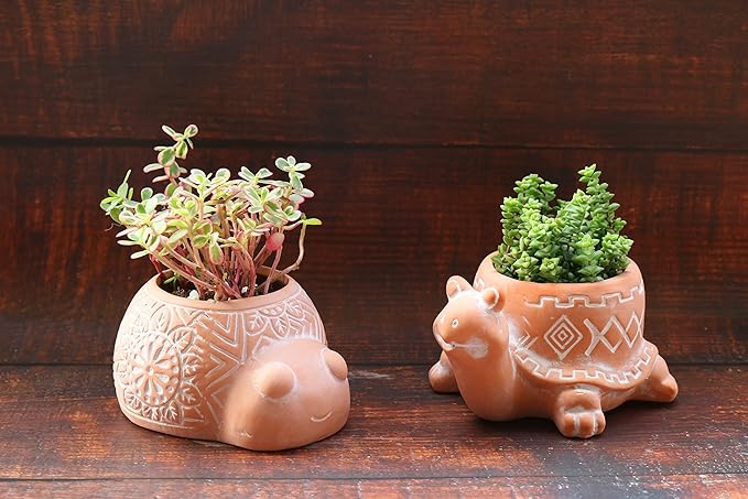 Cotta Planters Turtle Lady Bug Terracotta Animal Succulent Planter, Home Decor, 2-Pack Smaller Planter Set