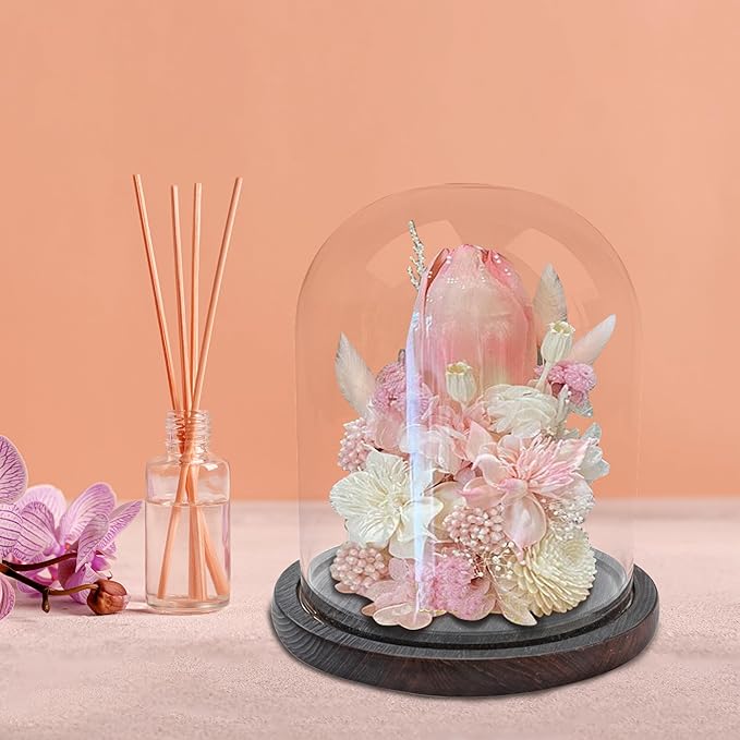 Glass Dome with Base for Display, Wooden Cloche Bell Jars 5.9" x 7.87" Case Cover Large Terrarium Cloches Pocket for Watch Flower Small Plastic Ornament Candle Plant Decorative Home Party Wedding Decor