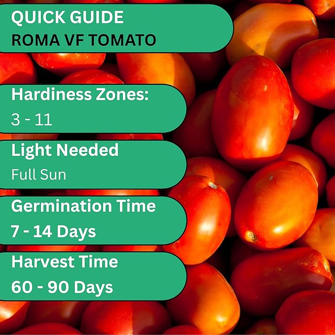 Roma VF Determinate Tomato Seeds for Planting – Heirloom Non-GMO Paste Tomatoes for Sauce & Canning | Woods Creek Seeds