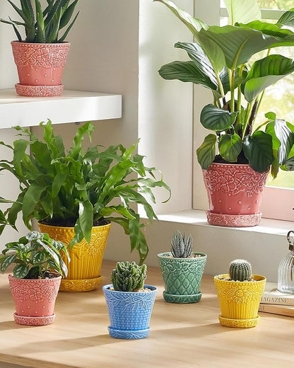 Succulent Ceramic Pots, 3.8 Inch Small Plant Pots with Drainage Hole & Saucer, Flower Planter Pot for House Plants Cacti, Home Decor, Set of 4, Assorted Colors