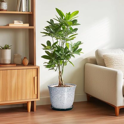 Ceramic Planter - 10 Inch Plant Pot for Indoor Outdoor, Round Planter with Drainage Hole and Plant Tray, Large Decorative Planters, Modern Flower Pot, Home Room Decor, Gardening Gift, Green