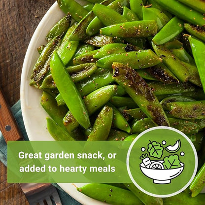Sow Right Seeds - Bulk Sugar Snap Pea Seeds for Planting - 2 Ounce, 225 Seeds - Non-GMO Heirloom Jumbo Pack with Instructions to Plant a Home Vegetable Garden - Enjoy a Cool Season Bountiful Harvest