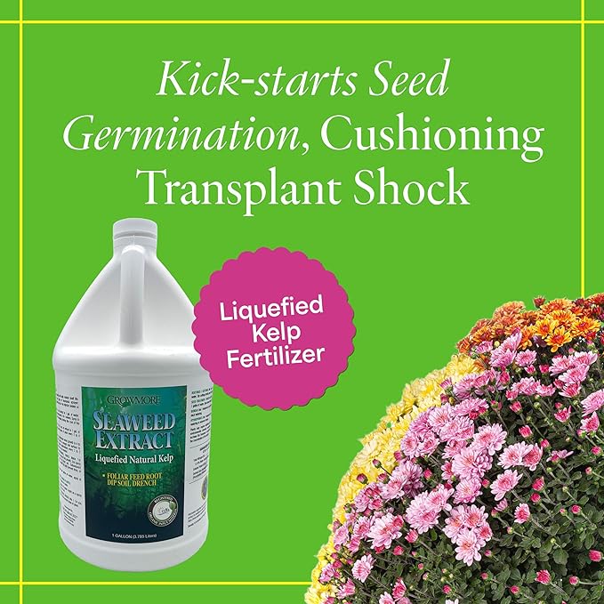 Grow More Liquified Seaweed Extract Fertilizer for Plants - 1 Gallon of Liquefied Natural Liquid Kelp Fertilizer - 11% Organic Kelp Plant Food for Transplant Protection & Root Development