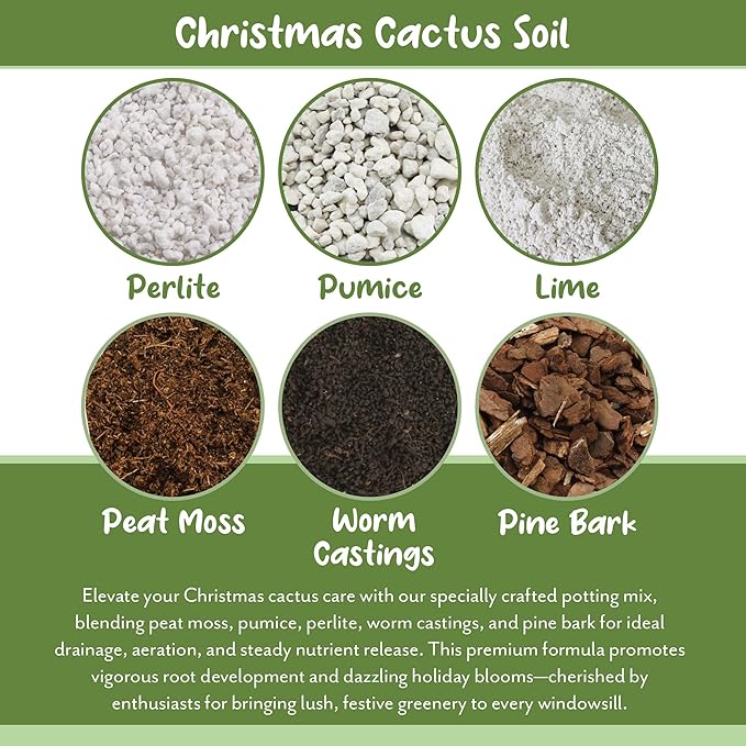 Soil Sunrise Christmas Cactus Potting Soil Mix (4 Quarts) Custom Blend for Xmas, Easter, and Thanksgiving Cactus Tropical Indoor Houseplants