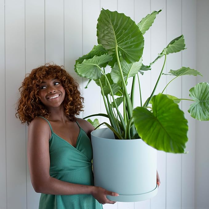 Bloem Mathers 12" Misty Blue Round Modern Resin Garden Planter Pot with Drainage Holes and Removable Saucer Tray Included