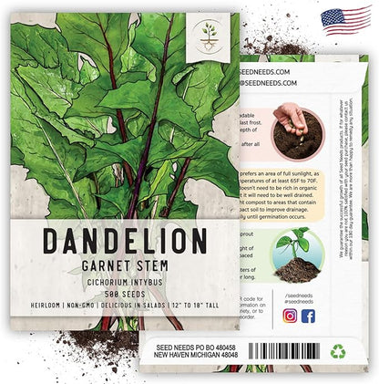 Seed Needs Garnet Stem Dandelion Seeds for Planting - Non-GMO, Heirloom & Untreated Edible Herbs - Grow Your own Food for Tortoises, Rabbits & Bearded Dragons (5 Packs)