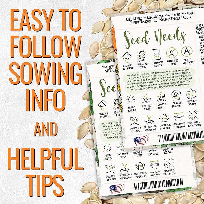 Seed Needs Pumpkin Seeds for Planting a Collection of Non-GMO Heirloom & Untreated Cucurbitas - Blue Jarrahdale, Casper White, Jack Be Little, Baby Boo, Fairytale & Jack O Lantern