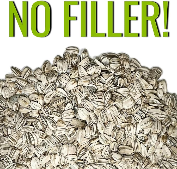 Seed Needs Sunflower Seeds to Plant Mammoth Grey Stripe | 2 Ounce Large Resealable Pouch Heirloom Seeds Helianthus Annuus Non GMO | Bulk Tall Growing Sun Flowers