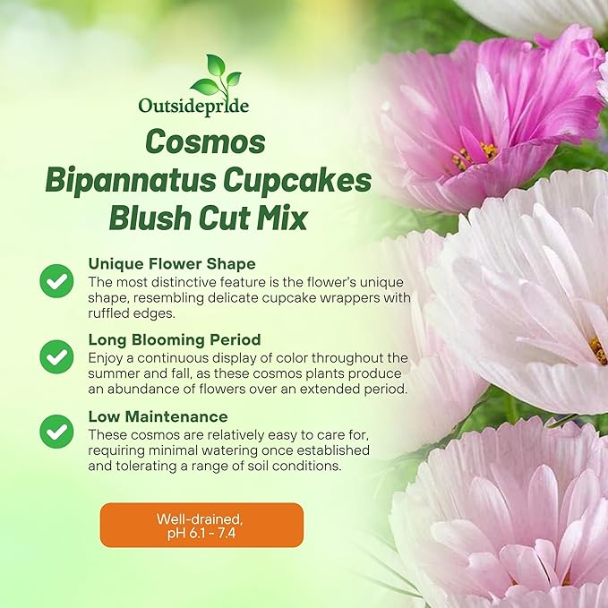 Outsidepride Cupcakes Blush Cosmos Bipinnatus Seeds - 50 Pcs Annual, Easy to Grow & Drought Tolerant Flower Seeds for Planting w/Finely Pleated Blooms, Ideal for Cut Flower & Wildflower Meadows