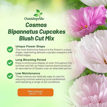 Outsidepride Cupcakes Blush Cosmos Bipinnatus Seeds - 50 Pcs Annual, Easy to Grow & Drought Tolerant Flower Seeds for Planting w/Finely Pleated Blooms, Ideal for Cut Flower & Wildflower Meadows