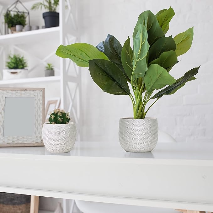Olly & Rose Barcelona Ceramic Plant Pot Set 2 - White Flower Pots - Indoor & Outdoor Planters (White)