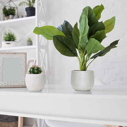 Olly & Rose Barcelona Ceramic Plant Pot Set 2 - White Flower Pots - Indoor & Outdoor Planters (White)