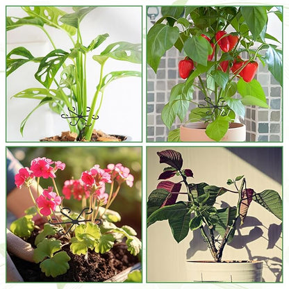 Augshy 12 Pcs Plant Stem Holders, Plastic Invisible Plant Support Stakes Indoor Reusable Climbing Houseplant Stem Supports Hook Growth Accessories for Indoor Home Garden