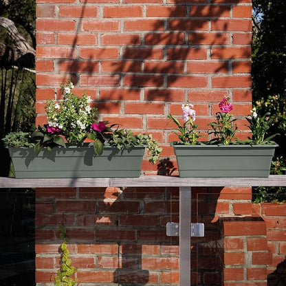 Bloem Dura Cotta 18" Basil Resin Rectangle Window Box Planter with Saucer Tray for Indoor and Outdoor Gardening