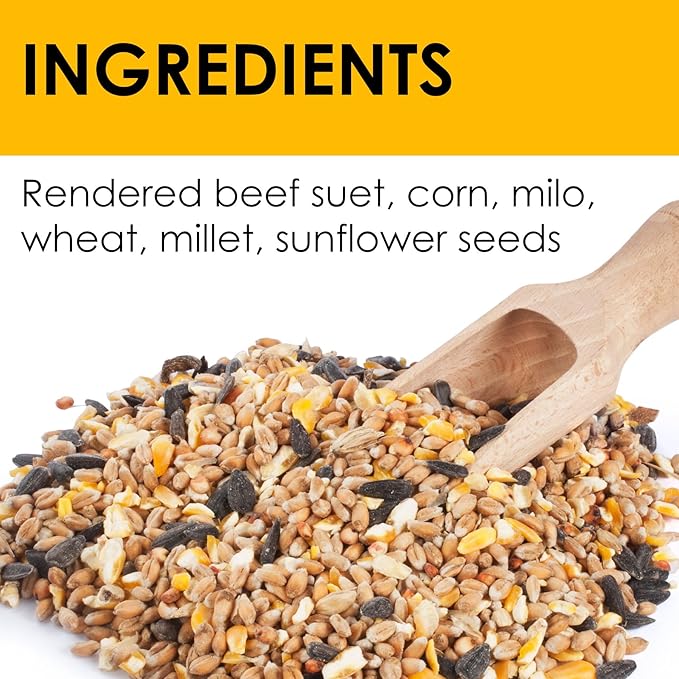 Heath Whimsical Chicken Suet 'n Seed Bird Feeder for Sunflower Seeds with 2 Free Bird's Blend Suet Cakes Included, Red