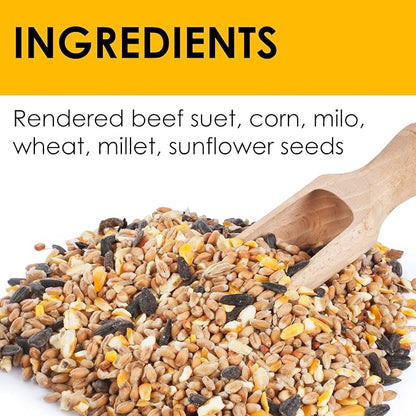 Heath Whimsical Chicken Suet 'n Seed Bird Feeder for Sunflower Seeds with 2 Free Bird's Blend Suet Cakes Included, Red