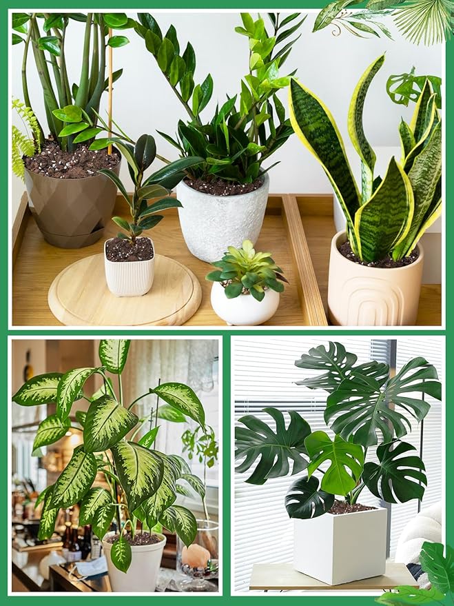6.4QT Monstera Soil Potting Mix - Natural Organic Tropical Plant Soil for Improving Growth Rate, Sustainable Houseplants Growing Media for Indoor Bonsai Succulents Moisture Retention Drainageq