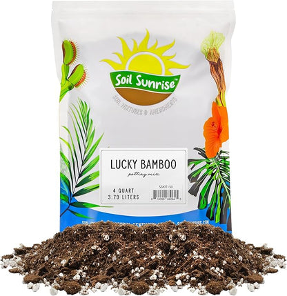 Soil Sunrise Lucky Bamboo Plant Potting Mix (4 Quarts) Custom Soil Mix for Repotting