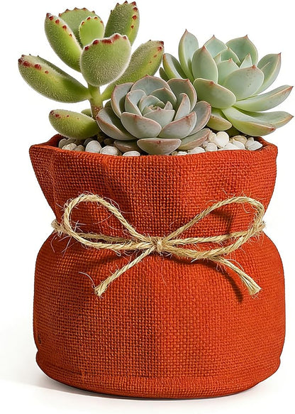Succulent Pots Flower Pots for Indoor Plants Cute Plant Pots Candy Bowl for Office Key Holder Bowl Farmhouse Table Decor (Orange)