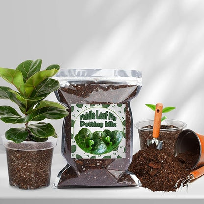 Organic Fiddle Leaf Fig Potting Mix 10qt, Indoor Plants Potting Mix for All Potted Ficus Lyrata Plant, Grow Healthy houseplants Indoors