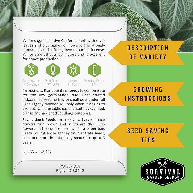 Survival Garden Seeds Sage Collection Seed Vault - White, Culinary & Victoria Blue Sage (Salvia Apiana, Officinalis, Farinacea) - Non-GMO Heirloom Seeds for Your Garden