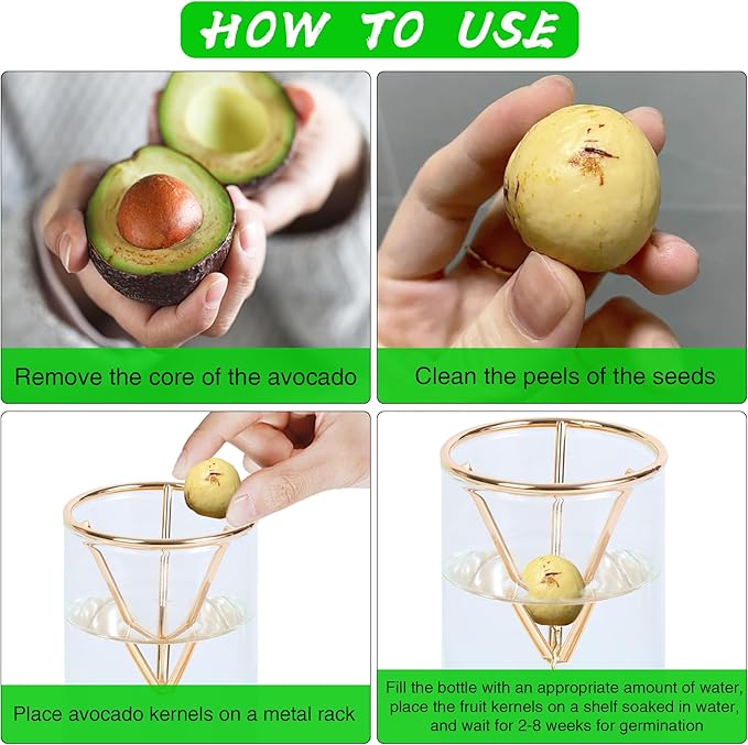 2 Pack Avocado Tree Growing Kits - Avocado Growing Vase - Avocado Seed Starter Vase Glass Plant Pot Easy Seed Sprout Starter Gift for Women Gardening Lovers Home Office Table Decoration (Gold)
