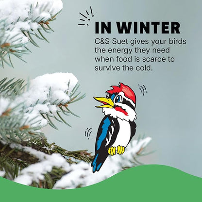 C&S Sunflower Suet Treat, Wild Bird Food for Chickadees, Nuthatches, Tufted Titmice, Woodpeckers, Wrens, Warblers, Brown Creepers, Northern Flickers, Pine Grosbeaks, Jays and More, 8 Pack