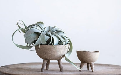 Creative Co-Op Round Terra-cotta Bowl with 3-Legs and Distressed Finish, Cream