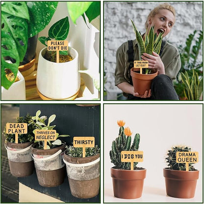 arricraft 15 Pcs Funny Plant Markers, Wooden Garden Stakes T-Type Garden Labels Funny Talking Plant Funny Garden Signs Garden Tags for Indoor and Outdoor Potted Seed Herbs Unique Funny Gifts