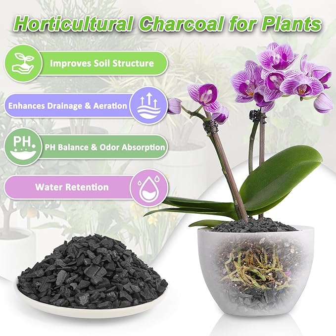 9 Quarts Horticultural Charcoal for Plants-Plant Charcoal Soil Amendment for Potting Indoor Plants, Succulent, Paphiopedilum, Bonsai, Terrarium,and Gardening