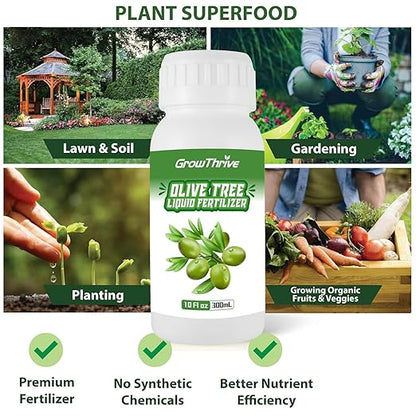 Olive Tree Fertilizer for All Olive and Oleaceae Trees, Liquid Plant Food for Fruit Trees Lush Foliage, Strong Roots, and Plump Olive Fruits, Nutrient-Rich Formula, 10oz