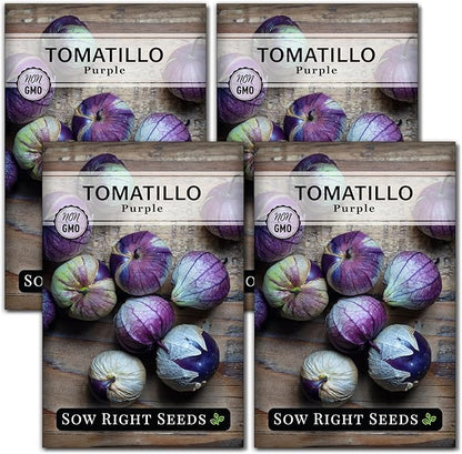 Sow Right Seeds - Purple Tomatillo Seeds for Planting - Non-GMO Heirloom Packet with Instructions to Plant an Outdoor Home Vegetable Garden - Mexican Husk Tomato - Ground Cherries Great for Salsa (4)