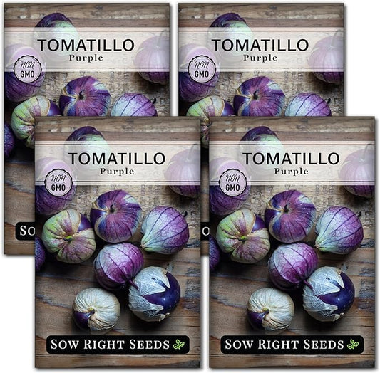 Sow Right Seeds - Purple Tomatillo Seeds for Planting - Non-GMO Heirloom Packet with Instructions to Plant an Outdoor Home Vegetable Garden - Mexican Husk Tomato - Ground Cherries Great for Salsa (4)