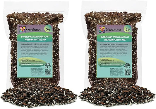 GARDENERA Monstera Borsigiana Planting Mix - Promotes Steady Growth and Vibrant Leaves - 10 Quart (2 Bags of 5 Quart)