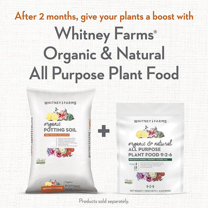 Whitney Farms Organic Potting Soil - Natural Indoor and Outdoor Container Mix for Vegetables, Herbs and Flowers, Feeds Plants up to 2 Months - 16 qt.