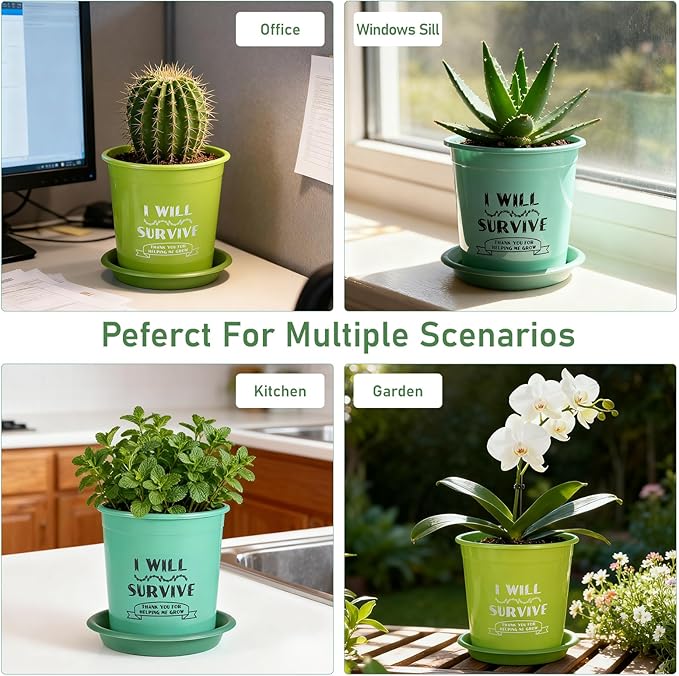NIKONIKO 6.5 Inch Nursery Pots with Drainage and Saucers, 8 Pack, Ideal Seedling Pots and Plant Pots for Vegetables, Orchids, Aloe, Flower Pots for Indoor and Outdoor Plants