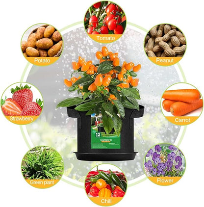 12 Sets 2 Gallon Grow Bags with Plant Saucers, Durable Fabric Plant Pots with Handles, Aeration Drainage Planter Bags for Planter, Reusable Garden Bags Drip Trays Set for Indoor Outdoor