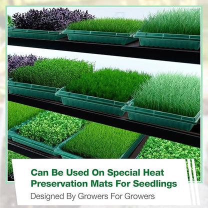 20 Pcs Seed Starter Kit 72 Cell Seedling Starting Trays and 1020 Trays No Holes Plant Growing Nursery Pots for Gardening Germination Propagation (Green)
