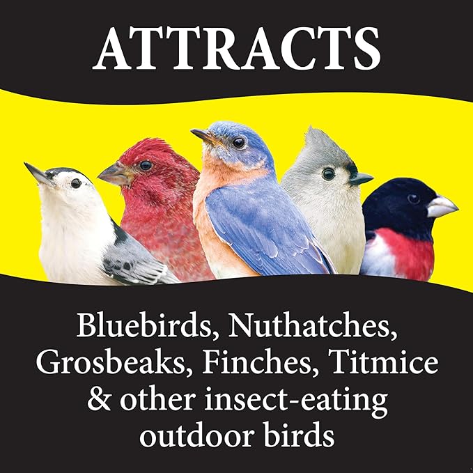Wild Delight Advanced Formula Bugs N Berries Wild Bird Food 4.5 lbs