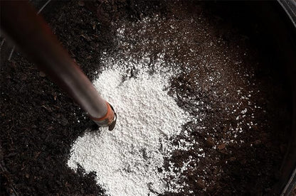 Organic Perlite by Perfect Plants — 1qt. Natural Soil Additive for Indoor & Outdoor Container Plants — Enhanced Drainage for Optimal Growth