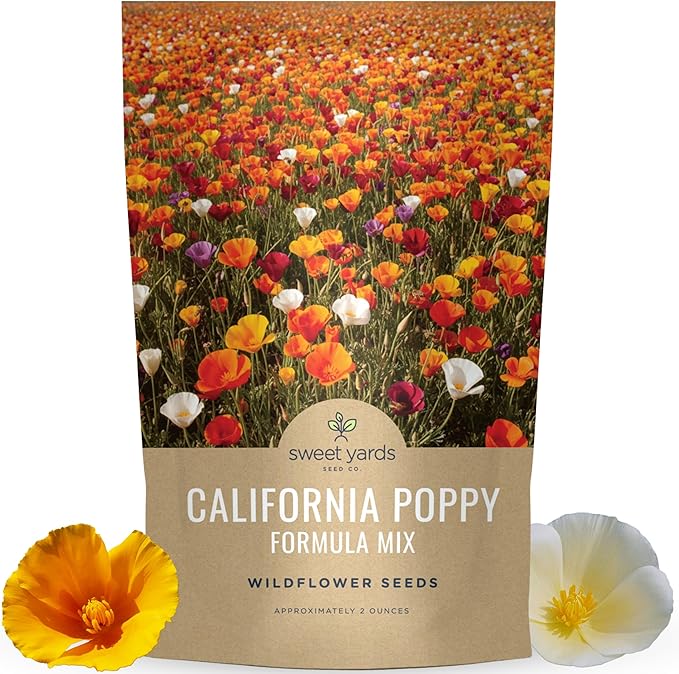California Poppy – Formula Mix – Large 2 Ounces Seed Packet – 40,000 Flower Seeds for Planting – Eschscholzia californica