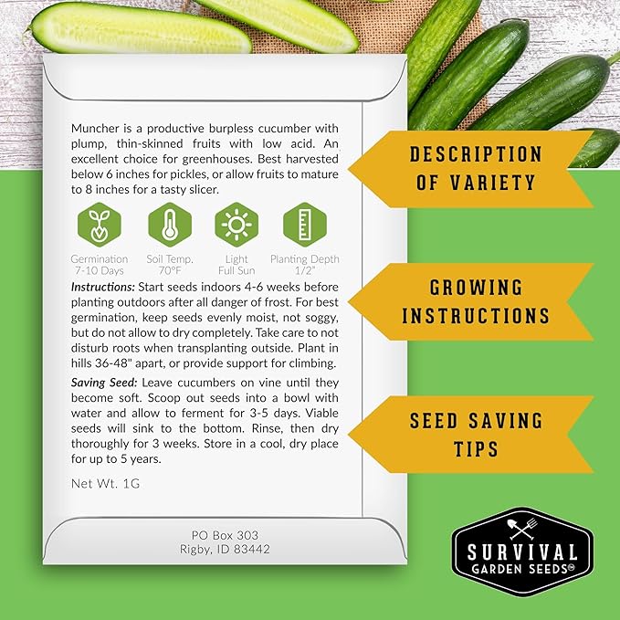 Muncher Cucumber Seeds for Planting | Burpless Variety with Smooth Skin for Snacking or Slicing – Survival Garden Seeds (2 Packs)