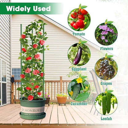 3 Pack Tomato Cages, 51.2in Tomato Plant Support Stakes Heavy-Duty, Garden Tomato Cages & Trellis for Climbing Vegetables, Tomatoes, Peppers, and Potted Plants(3)