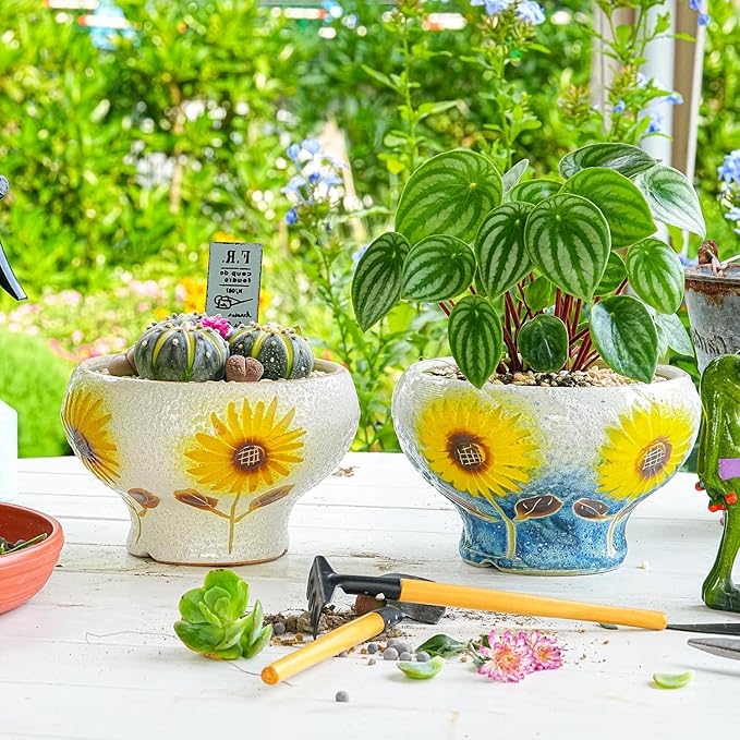 Sungmor Small Succulent Planters Set of 2, Beautiful Hand Crafted Ceramic Plant Pots Cute Cactus Pot, 6.5 Inch Flower Pots for Indoor Plants with Drainage, Desktop Windowsill Home Office Decor Pots