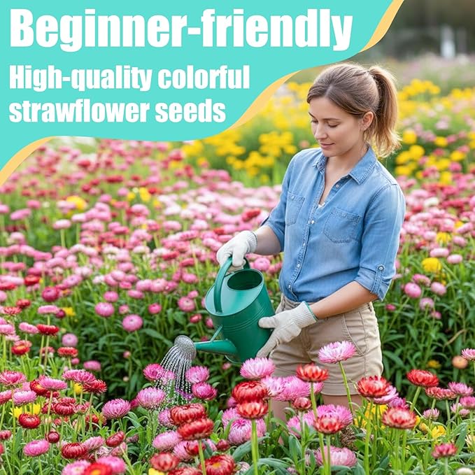 10,000+ Strawflower Seeds Mix, 9g – Heirloom Flower Seeds for Planting Outdoors, Cut Flower Seeds for Garden & Wildflower Beds, Non-GMO Color Mix Strawflower Flower Seeds