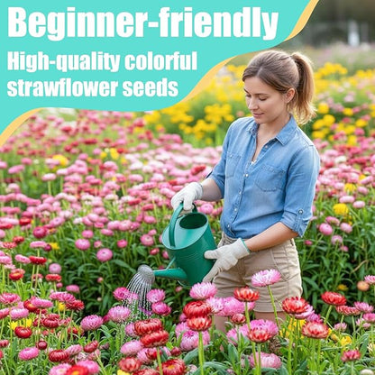 10,000+ Strawflower Seeds Mix, 9g – Heirloom Flower Seeds for Planting Outdoors, Cut Flower Seeds for Garden & Wildflower Beds, Non-GMO Color Mix Strawflower Flower Seeds